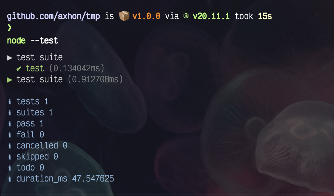 terminal output showing the test suceeded in 47 milliseconds